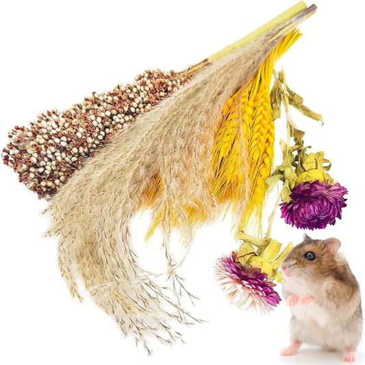 Fhiny Natural Hamster Bedding Mate, Edible Hamster Sprays Flowers & Herbs Gerbil Habitat Enclosure Decor Grain Treats Cage Accessories for Syrian Dwarf Hamster Gerbil Lemming Degus Mice