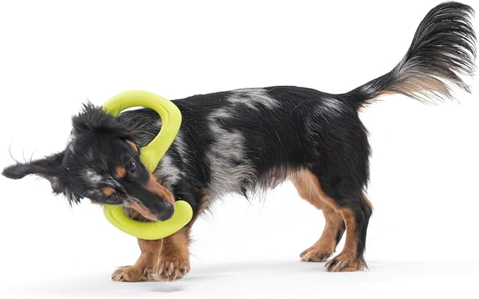 West Paw Zogoflex Bumi Dog Tug Toy – S-Shaped, Lightweight Chew Toys for Fetch, Play, Pet Exercise – Tug of War Soft Flinging Squishy Chewy Toy for Dogs – Guaranteed, Latex-Free, Small, Granny Smith