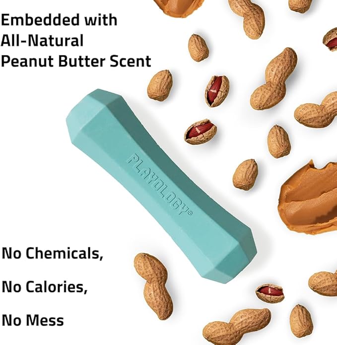 Playology Squeaky Chew Stick Dog Toys, Beef Scented & Peanut Butter Scented for Medium Dogs up to 50 lbs | Engaging All-Natural Scented Dog Chew Toy for Tough Chewers | Easy to Clean & Non-Toxic Mater