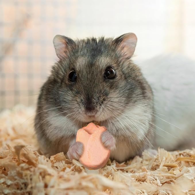 TEHAUX 15 Pcs Small Animal Chew Toys, Mineral Treats Chinchilla Rock Chew for Teeth Hamster Pumice Stone for Rats Guinea Pigs Rabbits Bunny Ferrets Squirrels Chinchilla Toys