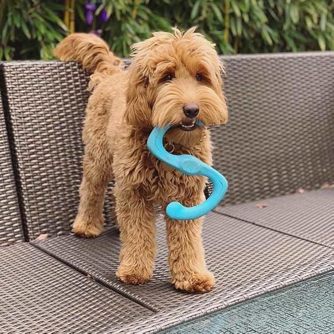 WEST PAW Zogoflex Bumi Dog Tug Toy – S-Shaped, Lightweight Chew Toys for Fetch, Play, Pet Exercise – Tug of War Soft Flinging Squishy Chewy Toy for Dogs – Guaranteed, Latex-Free, Small 8", Aqua Blue