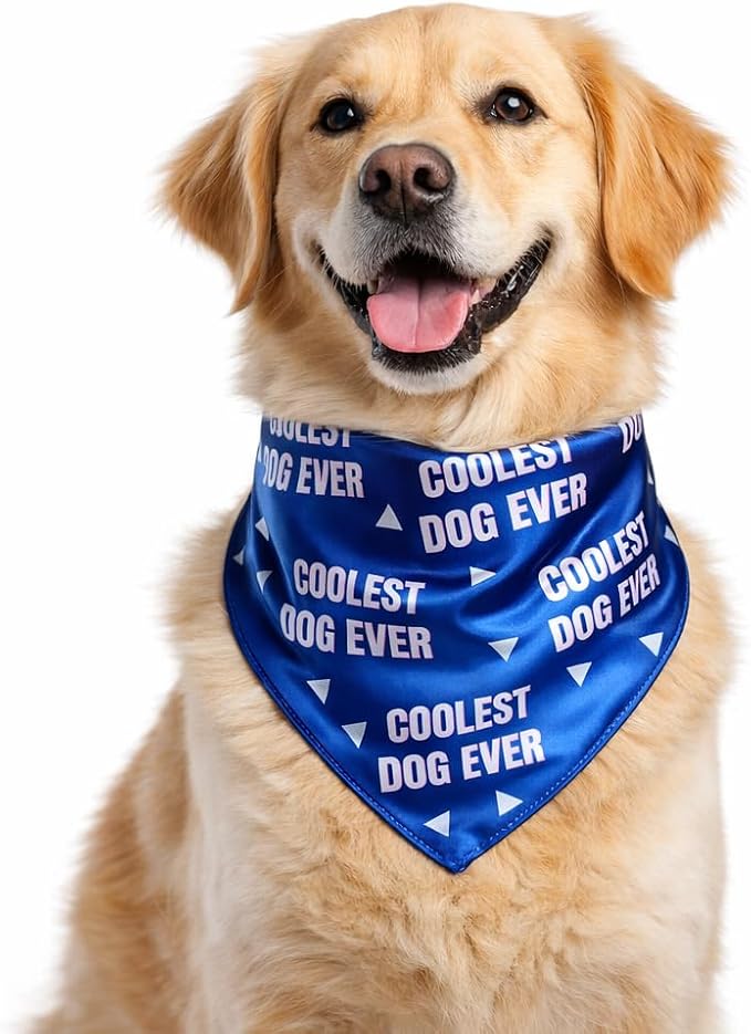 Luxury Satin Dog Bandana – Slip-On Collar Style, Premium Pet Scarf for Medium, Large & XL Dogs – Special Occasion Accessory (Collar Not Included) (Medium - Extra Large, Coolest Dog Ever)