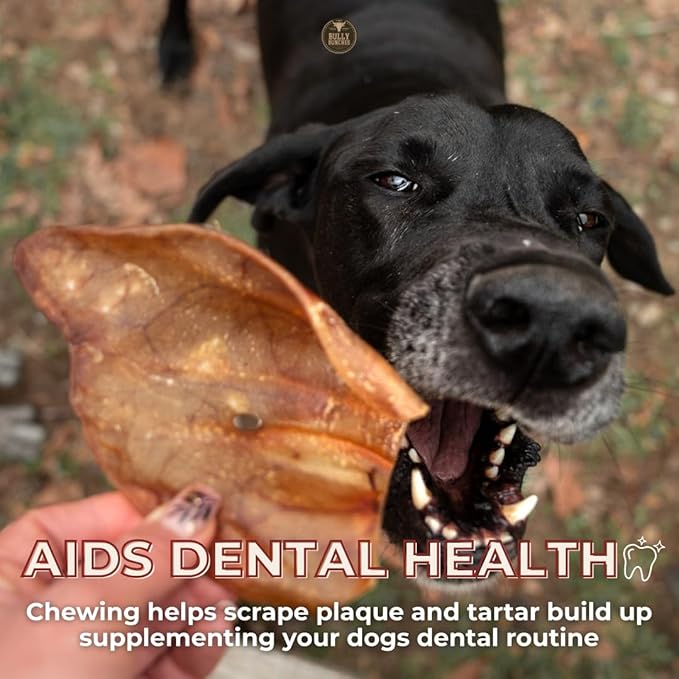 Bully Bunches Large Whole Pig Ears for Dogs | Free Range Oven Baked Pork for All Breeds | All-Natural, Single Ingredient & 100% Digestible Safe Dog Chew - Multipack (20 Pack)