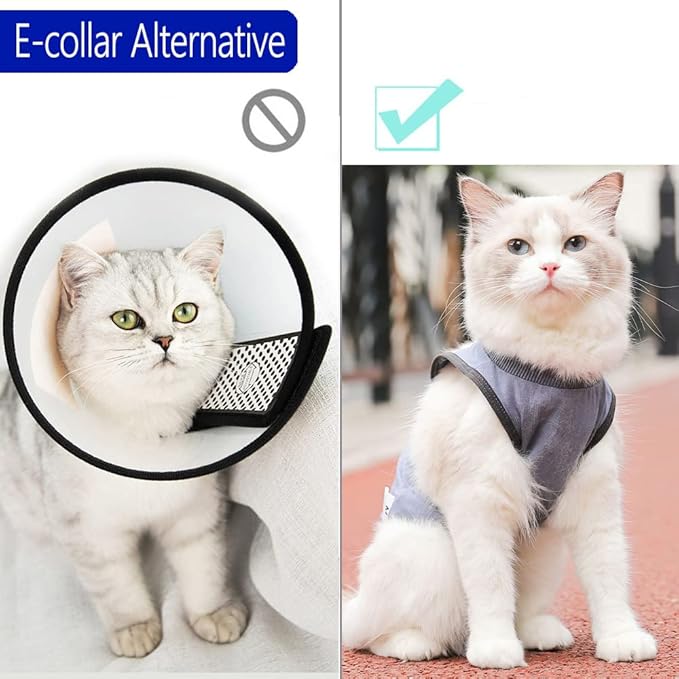 kzrfojy Cat Surgery Recovery Suit Cat Onesie for Cats After Surgery Spay Surgical Abdominal Wound Skin Diseases E-Collar Alternative Wear (Grey-Blue-L)