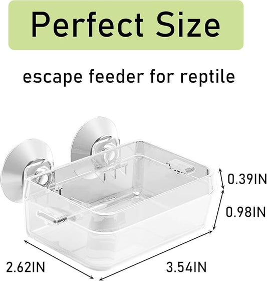Tfwadmx 2 Pcs Chameleon Bowl, Reptile Feeding Food, Water Dish Gecko Worm Feeder Anti-Escape Chameleon Supplies Accessories for Lizard Bearded Dragon Snakes