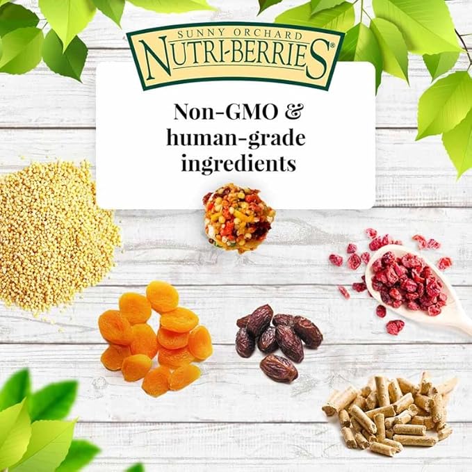 LAFEBER'S Sunny Orchard Nutri-Berries Pet Bird Food, Made with Non-GMO and Human-Grade Ingredients, for Cockatiels Conures Parakeets (Budgies) Lovebirds (Sunny Orchard 10 oz Pack of 2)
