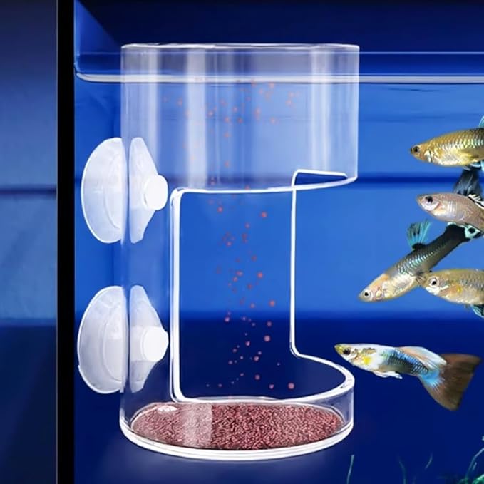 2 Pack PS Plastic Fish Feeders, Tank Feeding Tray with Suction Cup, Artemia Clear Floating Fish Tank Dish Tray, Tank Divider Supplies
