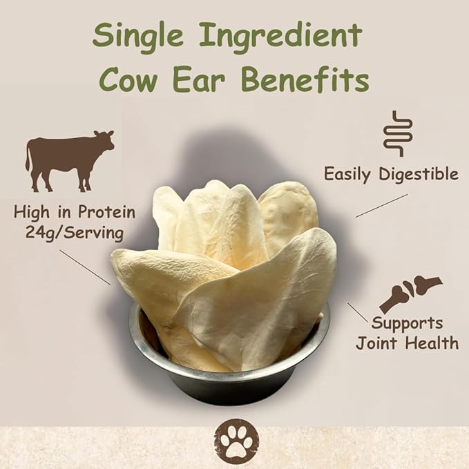 Top Dog Chews - Full Size, Thick Cut, Cow Ears Dog Treats, 100% All Natural, Rich in Protein and Flavor, Healthy & Delicious Chews, Rawhide Alternative (Pack of 10)