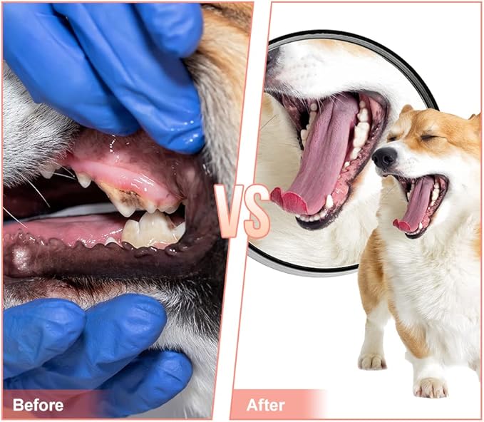 Dog Chew Toy, Durable Rubber Slipper Toy for Puppy, Dog Tough Toys for Pet Training and Cleaning Teeth, Interactive Puppy Toys for Aggressive Chewers Small Medium Breed