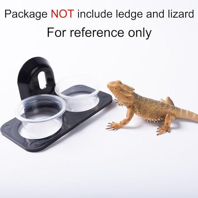 SLSON 100 Pack Gecko Food and Water Cups Gecko Ledge Cups Reptile Worm Bowl Mealworm Feed Feeder for Lizard Leopard Gecko Crested Gecko and Other Small Pets, 1 Oz