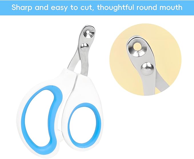 Stainless Steel pet Nail Clipper Blue, 1 piece per Sale