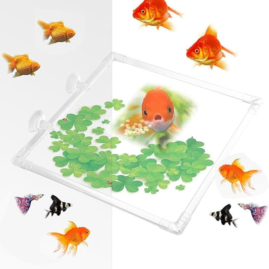 Antidrift Aquariums Food Dispenser Acrylic Feeding Corral Feeding Rings with Secure Suction Cup Attachment Easy Use Suction Cup Aquariums Feeder