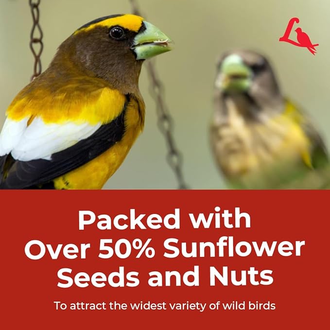 Lyric Supreme Wild Bird Seed for Outside Feeders - Wild Bird Food Mix with Nuts & Sunflower Seeds, Attracts Many Beautiful Songbirds, 40 lb Bag