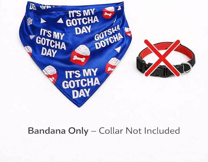 Luxury Satin Dog Bandana Slip-On Collar Style, Premium Pet Scarf for Medium, Large & XL Dogs Special Occasion Accessory for Dogs (Collar Not Included) (Medium - Extra Large, It's My Gotcha Day)