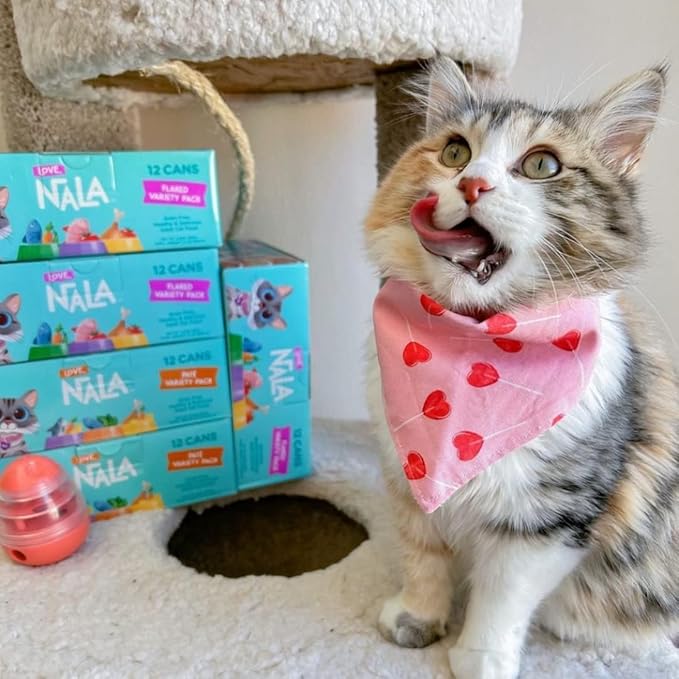 LOVE, NALA - Chicken Flaked with Carrot & Sweet Potato in Broth - 24 Pack, 4.8 lbs - Natural Adult Cat Wet Food Flaked -Grain Free, Non-GMO, Lean Protein, Added Minerals & Vitamins
