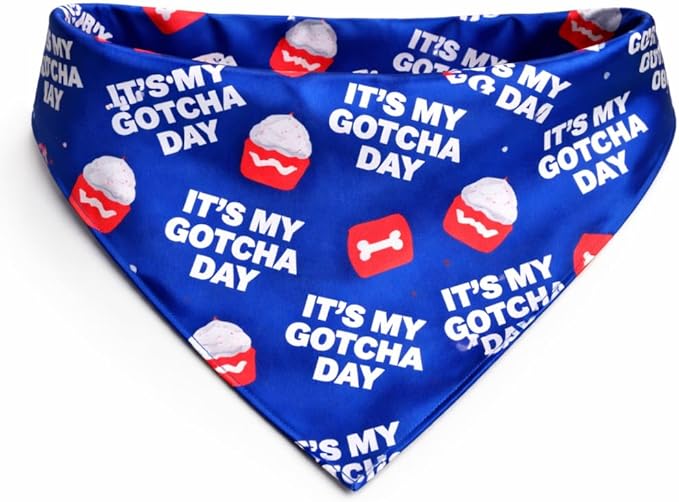 Luxury Satin Dog Bandana Slip-On Collar Style, Premium Pet Scarf for Medium, Large & XL Dogs Special Occasion Accessory for Dogs (Collar Not Included) (Medium - Extra Large, It's My Gotcha Day)