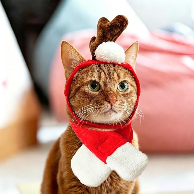 NAMSAN Cat Christmas Reindeer Costume, Small Dog Max Antler with Santa Scarf, Xmas Small Pet Single Reindeer Headband Scarf Outfit, Adjustable Cat Elk Antler and Red Scarves for New Year Cosplay
