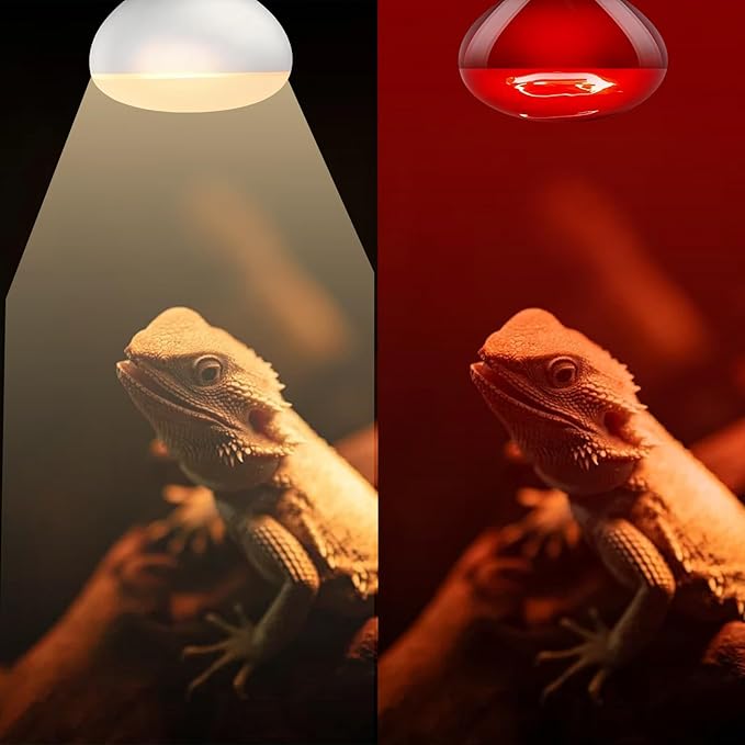 Reptile Heat Lamp Bulb 100W, 2-in-1 Infrared & UVA Sunlight Combo for Day & Night Basking – Perfect for Reptile Terrariums, Bearded Dragon, Snake, Turtle, Lizard