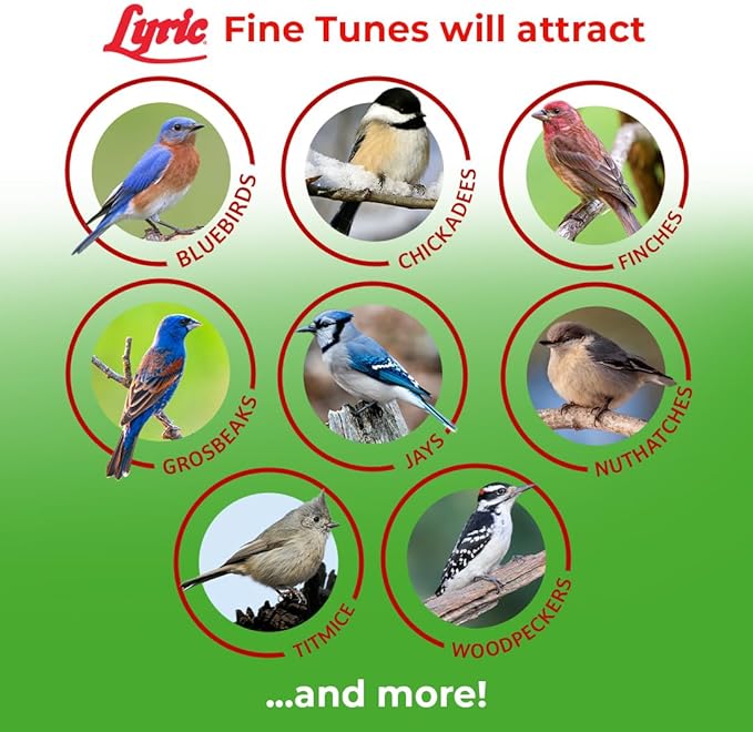 Lyric Fine Tunes Wild Bird Seed - No Waste Bird Food Mix - Attracts Colorful Wild Birds - Perfect for Your Backyard Feeders - 10 lb. (pack of 2 - 5 lb bags)