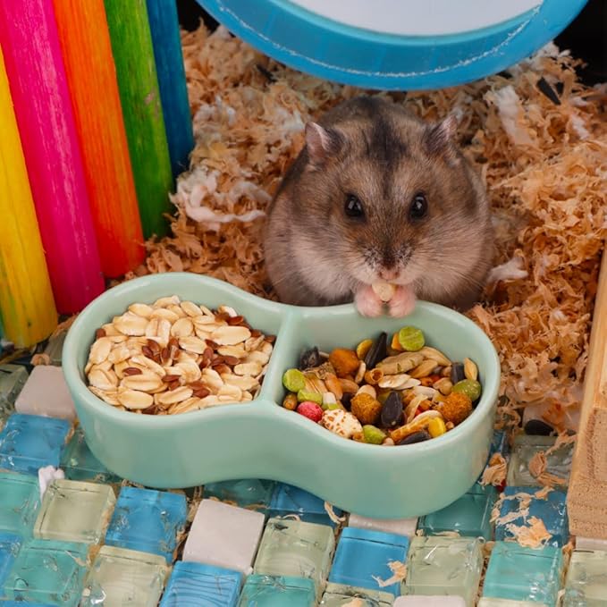 2 Pcs Hamster Ceramic Food Bowl, Double Grid Design Anti-Turning Food and Water Dish for Hamster Hedgehog Sugar Glider Gerbil Chipmunk Rodent (Colors May Vary)
