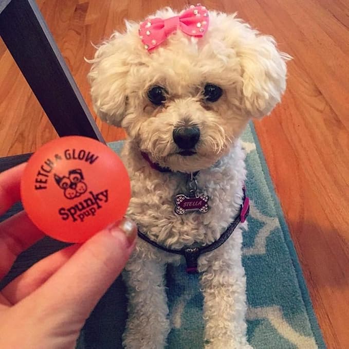 Spunky pup Dog Fetch Ball Small 2 Count (Pack of 1), (Assorted)