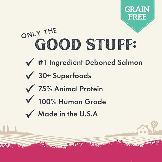 Health Extension Gently Air Dried Salmon Dog Food, (2lb, 907 g) – Complete & Balanced with 85% Animal Protein and 30+ Superfoods for All Life Stages