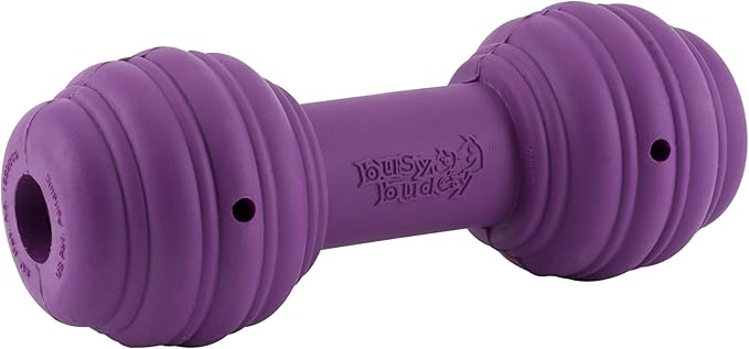 PetSafe Busy Buddy Chuckle, Medium/Large