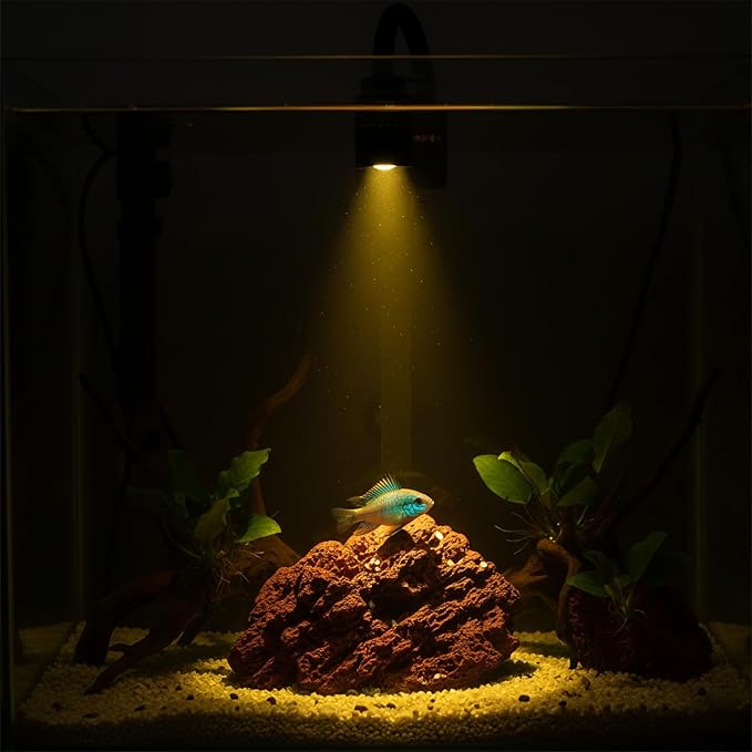 Zoom Mini Aquarium Spotlight with Timer – Gooseneck Clip-On Lamp, 15°–90° Zoom Beam, Tri-Color White/Warm White/Warm Light, Full Brightness Dimming (Black - NO Timer)
