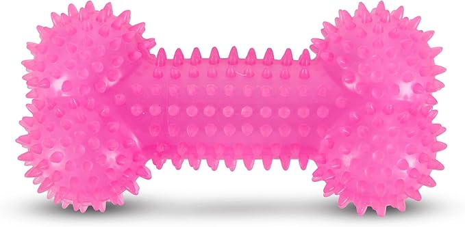 Bow-Wow TPR Spiked Squeaky Dog Toy – Dental Ring or Bone – Vanilla Scented, Colorful, and Fun – Gum Massaging Spikes for Everyday Play