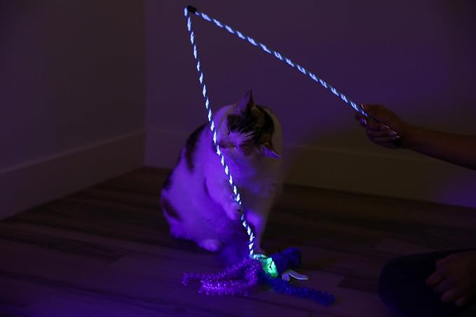 Quirky Kitty Glowing Forest Firefly Wand Catnip Cat Toy for Night Play Time | Luminous teaser to dangle and swish after dark, sparks chasing, leaping and playful exercise in felines every single day