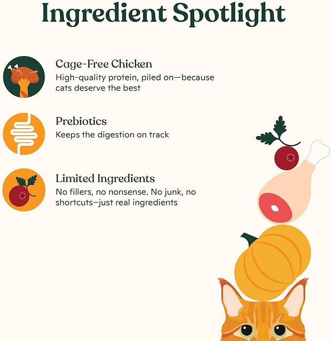 Made by Nacho Bone Broth Cat Food Topper for Hydration and Picky Eaters - Add Protein and Flavor to Your Dry Cat Food – Supports Optimal Nutrition, Digestion, Skin & Coat, 11 oz. Chicken
