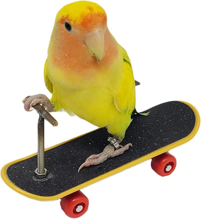 Skateboard Bird Toys, Parrot Training Trick Props, Bird Intelligence Educational Toys for Parakeet, Conures, Cockatiels