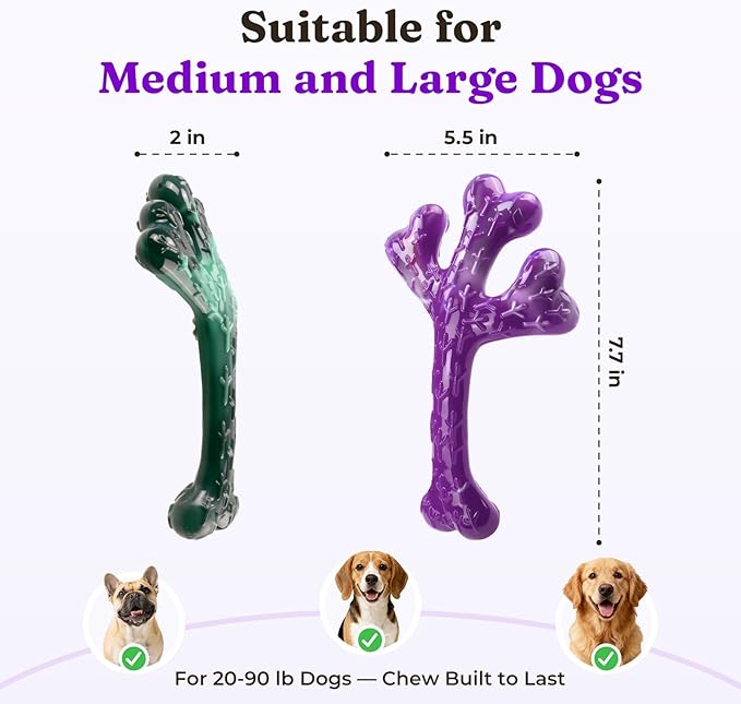 Frienhund 4 Pack (XL Cactus) Indestructible Tough Dog Toys for Aggressive Chewers: Beef Flavored Chew Bone for Large Dogs 20-90 lbs, Long Lasting & Keep Them Busy