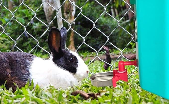 Metal Rabbit Chicken Water Cup Chicken Kettle DIY Rabbit Chicken Small Hamster Guinea Pig (Black, 6)