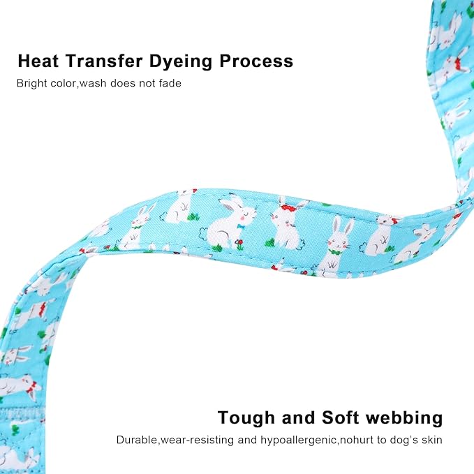 Lionet Paws Easter Dog Collar, Comfortable Adjustable Blue Rabbit Collar with Bunny Rabbit for X-Small Male Female Puppies Dogs Collars, Neck 8-12 inches