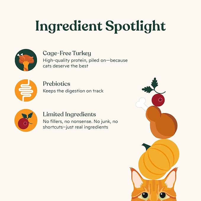 Made by Nacho Bone Broth Cat Food Topper for Hydration and Picky Eaters - Add Protein and Flavor to Your Dry Cat Food – Supports Optimal Nutrition, Digestion, Skin & Coat, 11 oz. Turkey (Pack of 2)