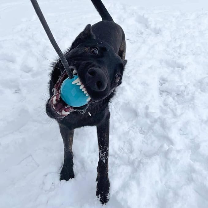 K9 Ops Dog Ball on a Rope Moki Tug Toy - Solid Rubber Fetch Training Reward - Large Dogs Durable Indestructible Chewers Pitbull Dobermann Rottweiler Shepherd (Lagoon Blue - Black Rope)