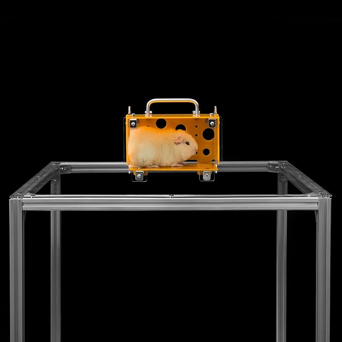 GuineaLoft™ Guinea Pig Cheese House (Single) V3 - The Ultimate Guinea Pig Hideout by Seasoned Owners Who Tried Everything Out There - Exclusive by Guinea Loft