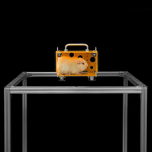 GuineaLoft™ Guinea Pig Cheese House (Single) V3 - The Ultimate Guinea Pig Hideout by Seasoned Owners Who Tried Everything Out There - Exclusive by Guinea Loft