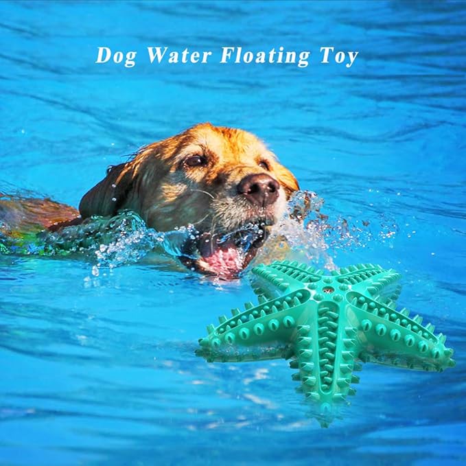 Squeaky Chew Toy - Starfish Water Floating Toy for Dogs, Natural Tooth Brush Teeth Cleaning for Small Medium Dogs - Blue