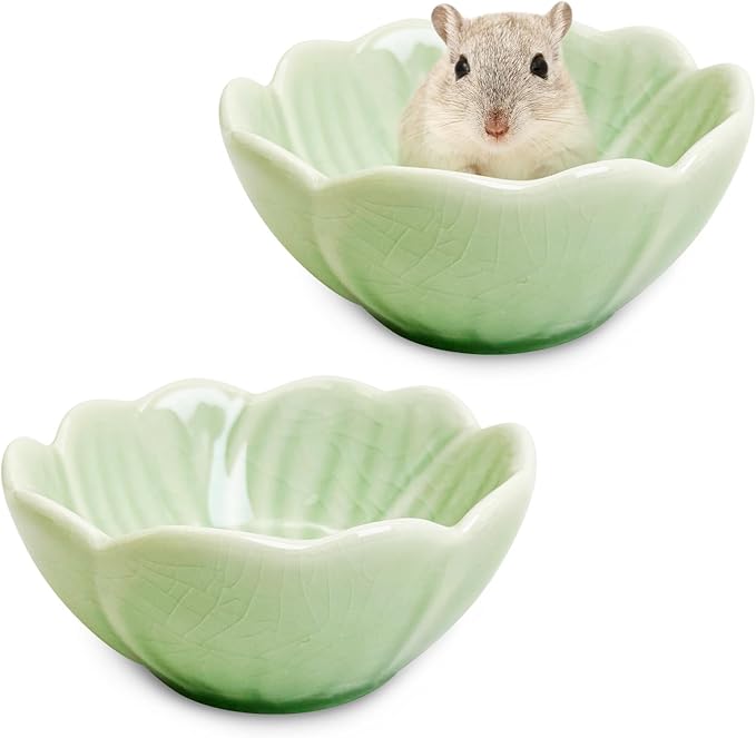 BNOSDM 2 Pcs Hamster Ceramic Food Bowl Flower Series Gerbil Drinking Bowls Anti-Turning Food & Water Dish for Dwarf Syrian Hamsters Gerbil Chinchilla（Green, Narcissus Pattern）
