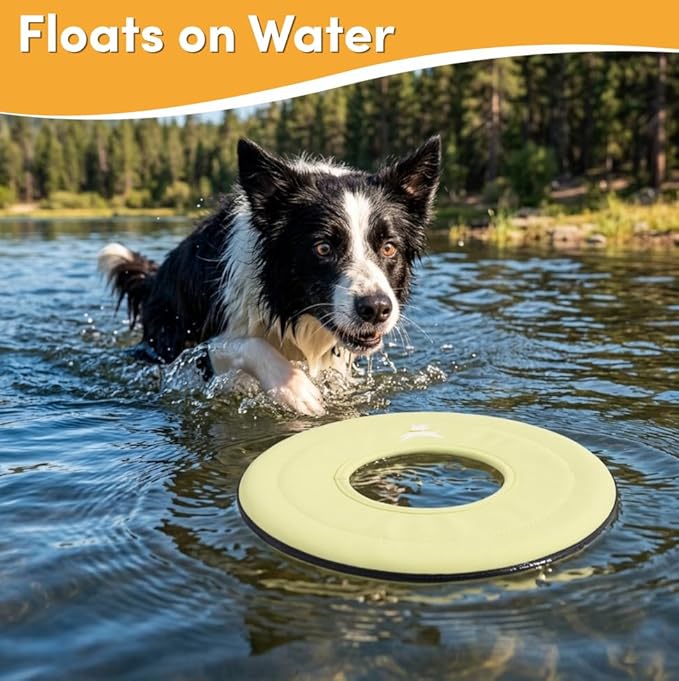 OllyDog Super Flyer, Floating Dog Disc for Water Play – Soft Durable Dog Fetch Toy, Eco-Friendly Recycled Material, Gentle on Teeth, Lightweight Flying Disc for Medium, Large Dogs (Sol, 11")