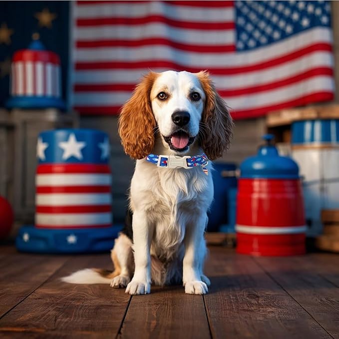 Lionet Paws 4th of July Dog Collar- Cute Blue Red Popsicle Dog Collars with Plastic Buckle and Icecream Pendant, Light Adjustable Dog Collars for Medium Dogs