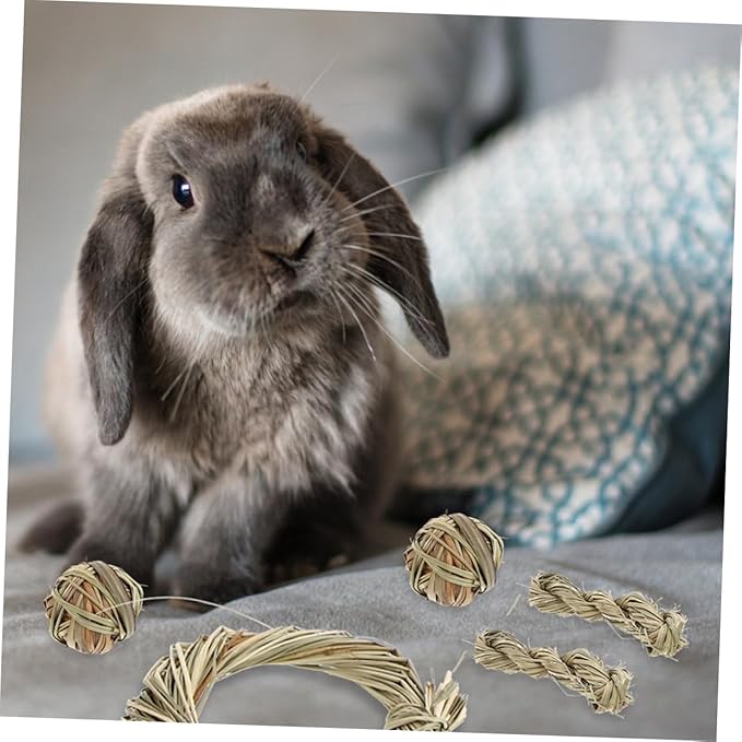 6pcs Small Animal Chew for Rabbits and Guinea Pigs Natural Grass Molar with Balls and Rings Teeth Cleaning Hamster Chew Props for Healthy Dental Care and Stress Relief