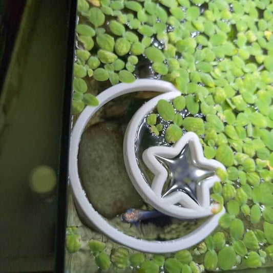 Fish Feeding Portal for Betta & Aquariums | Floating Food Ring & Breathing Window (Moon) (Black)