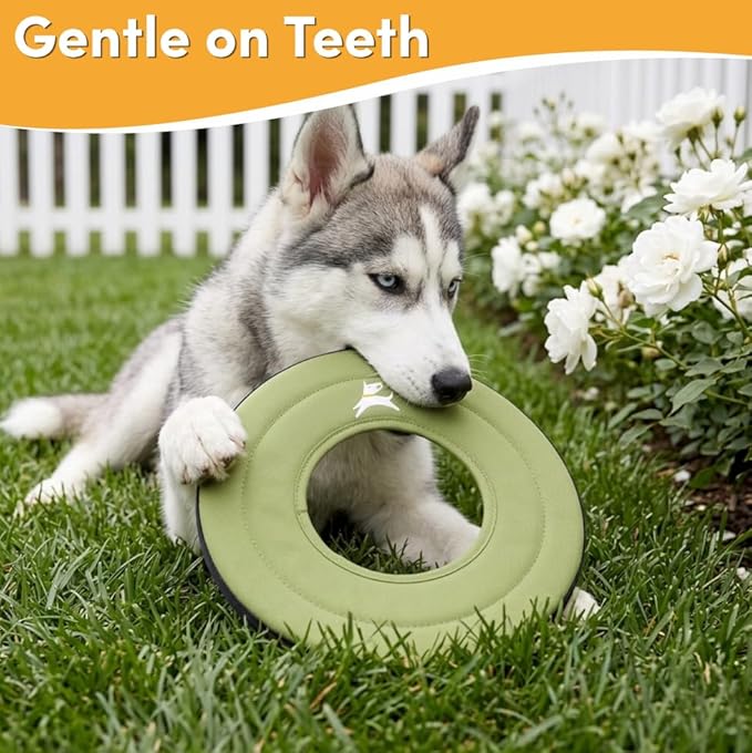 OllyDog Super Flyer, Floating Dog Disc for Water Play – Soft Durable Dog Fetch Toy, Eco-Friendly Recycled Material, Gentle on Teeth, Lightweight Flying Disc for Medium, Large Dogs (Palm, 11")