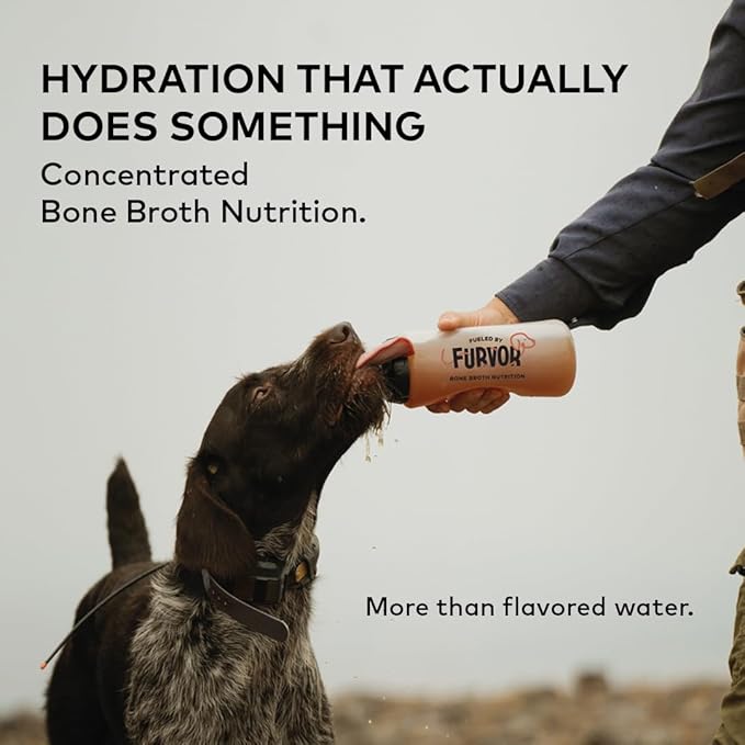 Beef Bone Broth Concentrate for Dogs - Collagen Protein Supplement - Digestion, Mobility, Coat, Immune System, Joints - Healthy Dog Food Gravy Topper - Human Grade, Made in USA (12 oz, 20 Servings)