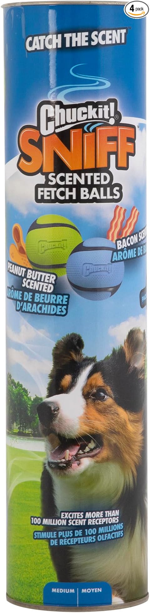 Chuckit! Sniff Fetch Balls Canister, Pack of 4, for Medium Dog Breeds (20-60 lbs)