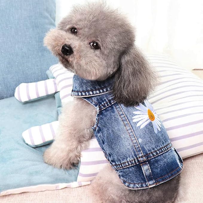 Dog Denim Jacket with Embroidered Daisy, Ripped Vintage Jean Vest for Small Dogs, Pugs, Chihuahuas, Spring Summer Fall Festival Outfit, XXL (Fits Chest 19-20.5", NOT for Large Dogs)