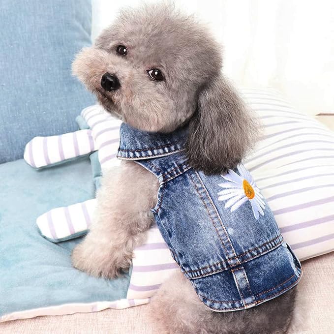 Dog Denim Jacket with Embroidered Daisy, Ripped Vintage Jean Vest for Small Dogs, Pugs, Chihuahuas, Spring Summer Fall Festival Outfit, Large (Fits Chest 15-16")